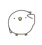 Happy bird's day - roll's daily（個別スタンプ：40）