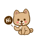 Dog and Cat Cute（個別スタンプ：1）