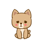 Dog and Cat Cute（個別スタンプ：2）