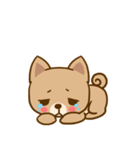 Dog and Cat Cute（個別スタンプ：10）