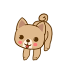 Dog and Cat Cute（個別スタンプ：11）