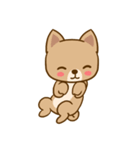 Dog and Cat Cute（個別スタンプ：12）