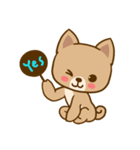 Dog and Cat Cute（個別スタンプ：13）