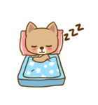 Dog and Cat Cute（個別スタンプ：20）