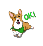 Corgi Wawa has come（個別スタンプ：4）
