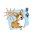 Corgi Wawa has come（個別スタンプ：6）