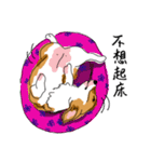 Corgi Wawa has come（個別スタンプ：8）