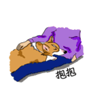 Corgi Wawa has come（個別スタンプ：14）