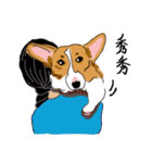 Corgi Wawa has come（個別スタンプ：17）