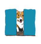 Corgi Wawa has come（個別スタンプ：19）