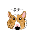Corgi Wawa has come（個別スタンプ：20）
