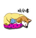 Corgi Wawa has come（個別スタンプ：26）