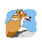 Corgi Wawa has come（個別スタンプ：30）
