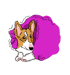 Corgi Wawa has come（個別スタンプ：35）