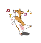 Corgi Wawa has come（個別スタンプ：38）