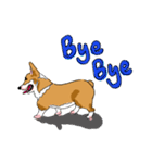 Corgi Wawa has come（個別スタンプ：40）
