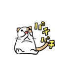 にけねこ日和（個別スタンプ：12）