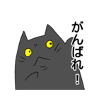 黒猫せんの日常（個別スタンプ：36）