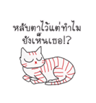 LineRed cat（個別スタンプ：10）