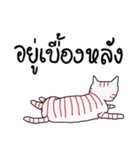 LineRed cat（個別スタンプ：12）