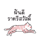 LineRed cat（個別スタンプ：13）