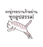 LineRed cat（個別スタンプ：16）