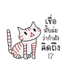 LineRed cat（個別スタンプ：20）