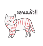 LineRed cat（個別スタンプ：23）