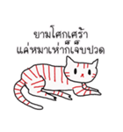 LineRed cat（個別スタンプ：24）