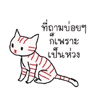 LineRed cat（個別スタンプ：25）