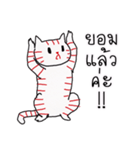 LineRed cat（個別スタンプ：26）