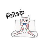 LineRed cat（個別スタンプ：28）