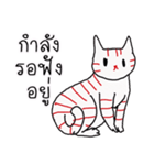 LineRed cat（個別スタンプ：30）