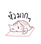 LineRed cat（個別スタンプ：31）