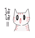 LineRed cat（個別スタンプ：33）