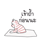 LineRed cat（個別スタンプ：39）