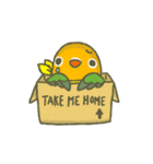 Mango's Daily Life（個別スタンプ：2）