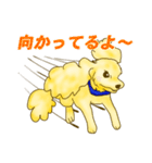 今日も今日とてアポロン（個別スタンプ：2）