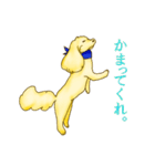 今日も今日とてアポロン（個別スタンプ：4）