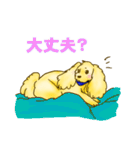 今日も今日とてアポロン（個別スタンプ：26）