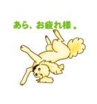 今日も今日とてアポロン（個別スタンプ：27）