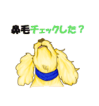 今日も今日とてアポロン（個別スタンプ：35）