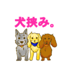 今日も今日とてアポロン（個別スタンプ：37）