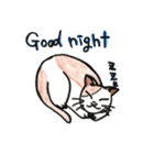 いろんなねこのスタンプ（個別スタンプ：2）