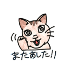 いろんなねこのスタンプ（個別スタンプ：7）