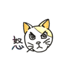 いろんなねこのスタンプ（個別スタンプ：10）