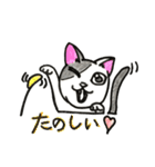 いろんなねこのスタンプ（個別スタンプ：12）