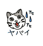 いろんなねこのスタンプ（個別スタンプ：16）