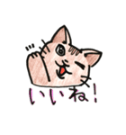 いろんなねこのスタンプ（個別スタンプ：23）