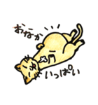 いろんなねこのスタンプ（個別スタンプ：25）